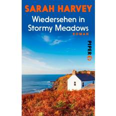 E-Books Wiedersehen in Stormy Meadows (E-Book)