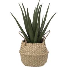 Beige Artificial Plants Atmosphera aloe korb Künstliche Pflanzen