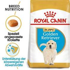 Royal Canin Golden Retriever Puppy Torrfoder för Valpar 1 kg