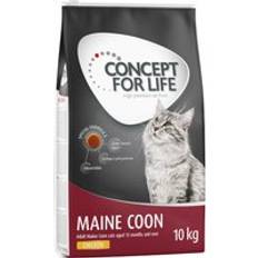 Concept for Life Maine Coon Adult Chicken förbättrad