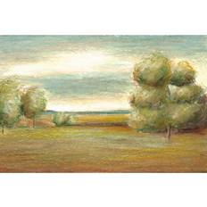 Cotton Framed Art August Grove Idle Country VI Chariklia Zarris Framed Art