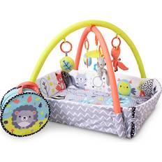 Peppermint Trail Play Gym