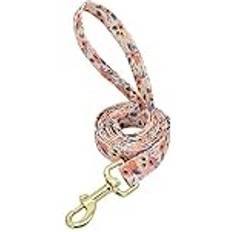 Hundhalsband Leash Collars Pet Walking Belt