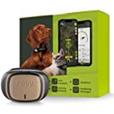 Kippy Kippy EVO Det nya GPS-halsbandet