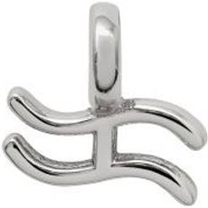 Unisex Charms & Anhänger Xenox Anhänger Choice Wassermann XC5211 silber