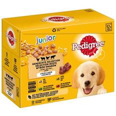 Pedigree Junior Hundmat 12 x 100 g 4-pack