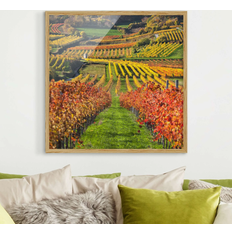 Chêne Affiches Klebefieber Vineyard view Affiche 20x20cm