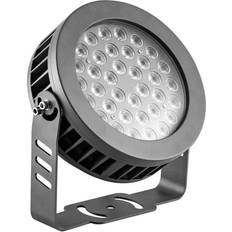 EVN LF6536159902 Gray Spotlight
