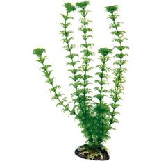 Wave Cabomba Classic Plant Medium