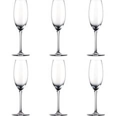 Mit Fuß Sektgläser Rosenthal Thomas Divino Sektglas 19cl 6Stk.