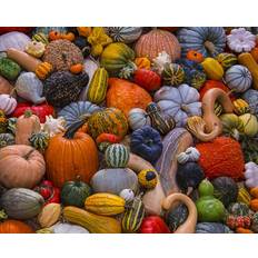 Jigsaw Puzzles Vermont christmas Company Autumn Harvest Jigsaw Puzzle 1000 Piece