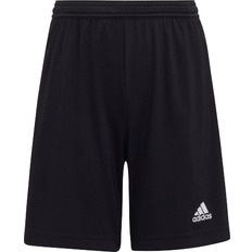 Adidas Short Entrada 22 - Black