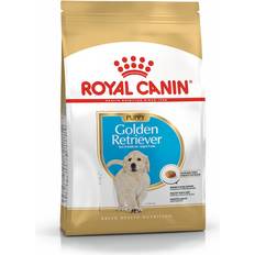 Royal canin golden retriever Royal Canin Golden Retriever Puppy 3kg