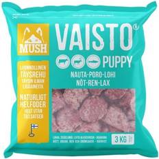 Mush Vaisto Puppy Nöt-Ren-Lax Isblå 3 Köttbullar