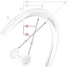 Shimano RS81 C50 forhjul