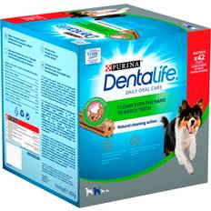 Purina Dogs Pets Purina Dentalife Dog Chews 42