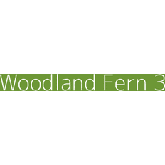 Paint Dulux Colour Tester Woodland Fern 3, 30ML