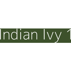 Paint Dulux Colour Tester Indian Ivy 1, 30ML