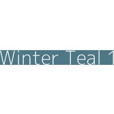 Paint Dulux Colour Tester Winter Teal 30ML