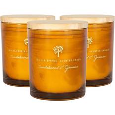 Nicola Spring Soy Wax Scented Candle
