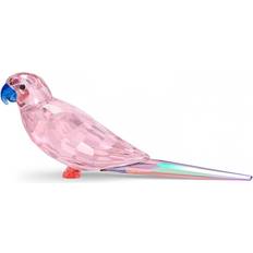 Swarovski Accessoires d'intérieur Swarovski Jungle Beats Pink Parakeet Crystal