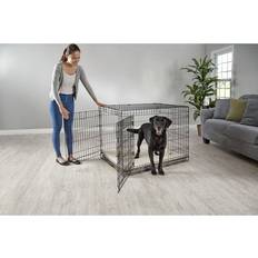 EveryYay Going Places 2-Door Folding Dog Crate, X