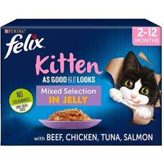 Felix Kitten Wet Cat Food Jelly with Beef, Chicken, Salmon 100g Pouches