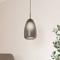 Eglo Alobrase 200mm Light Black Brushed Brass Pendant Lamp