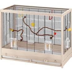 Ferplast Bird & Insects - Bird Cages and Accessories Pets Ferplast Giulietta 6 Wooden Canary & Finch Bird Cage