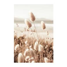 Beach Grass Beige Plakat 21x30cm