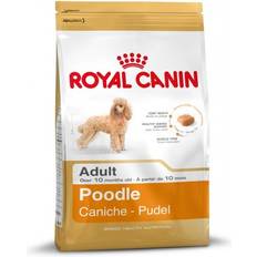 Royal Canin BHN Small Breed Poodle Pudel 500g Hundetrockenfutter