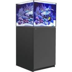 Reefer G2+ Svart ATO+