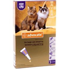 Advocate Large Cat 4-8kg 9-18lbs 3 Pack