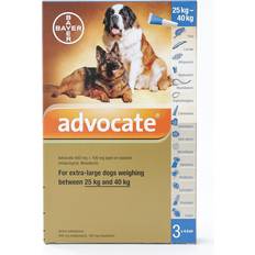 Advocate X Large Dogs Over 25Kg 3 Pack