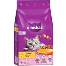 Whiskas Cats - Dry Food Pets Whiskas 1+ Chicken 800g