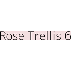 Paint Dulux Colour Tester Rose Trellis 30ML