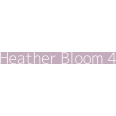 Paint Dulux Colour Tester Heather Bloom