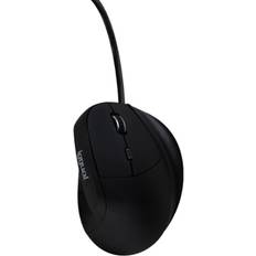 IGG318386