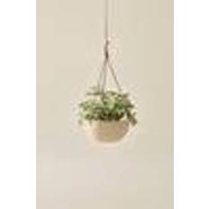 Jotex Mark Ampelkruka ø 25 cm Beige Borstad