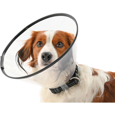 Buster Hundar - Hundhalsband & Selar Husdjur Buster Comfort Collar 7,5