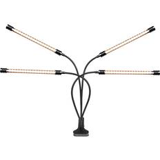 Luminaire Black