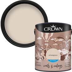 Paint Crown Ceilings Mid Sheen Emulsion Wall Paint