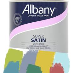 Paint Albany Super Satin Tinted