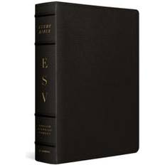 ESV Study Bible, Large Print