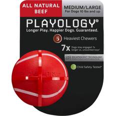 Playology Playology Squeaky Chew Ball Dog Beef