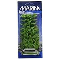 Marina Akvarium - Fiskar & Reptiler Husdjur Marina Aquascaper Ambulia 20 cm