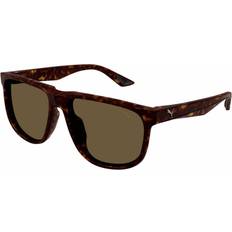 Puma Square Sunglasses - Havana