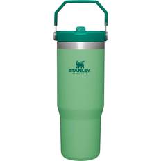 Kitchen Accessories Stanley The IceFlow Flip Straw Tumbler Jade Travel Mug 30fl oz