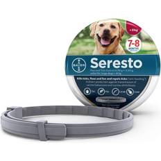 Dog Flea and Tick Control