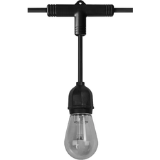 LEDVANCE Smart + String Light Black/Clear Guirlande Lumineuse 12 Lampes